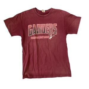Vintage School Mascot Tee